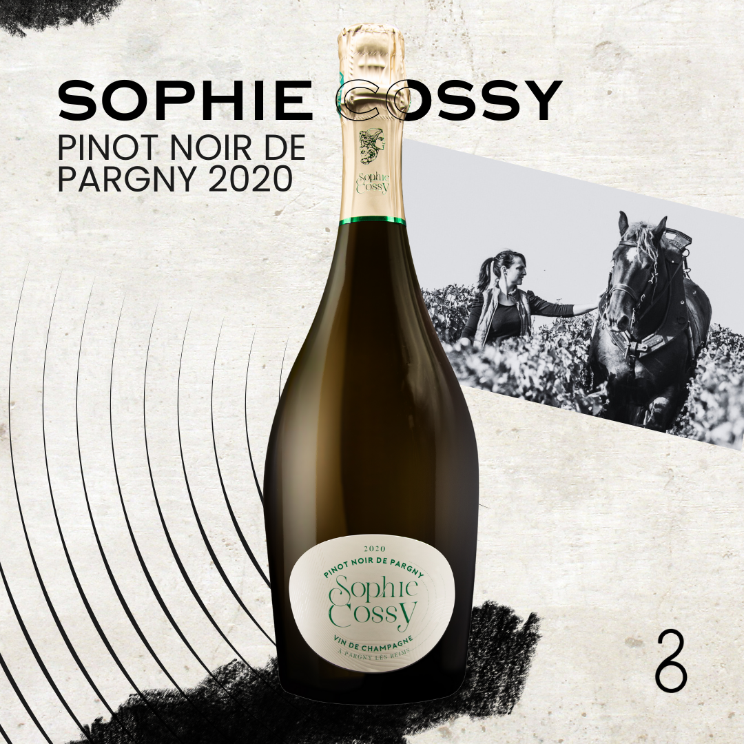 Sophie Cossy // Pinot Noir de Pargny 2020