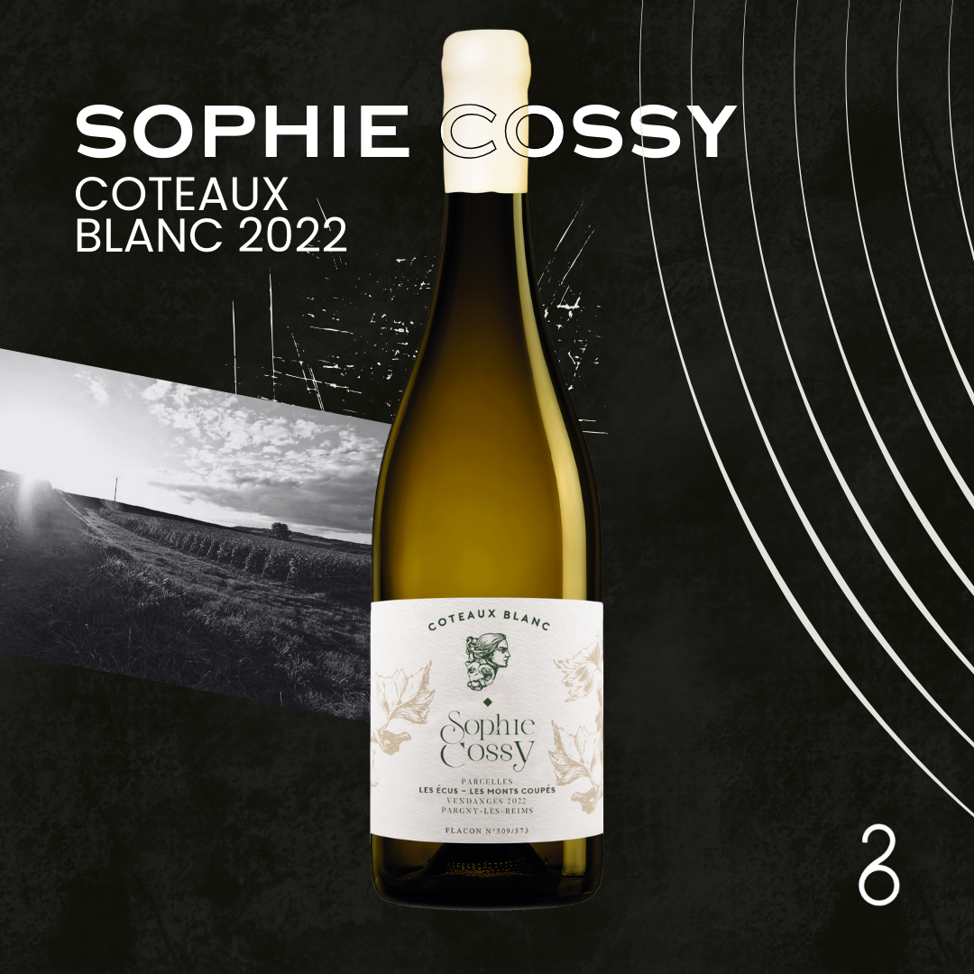 Sophie Cossy // Coteaux Blanc 2022