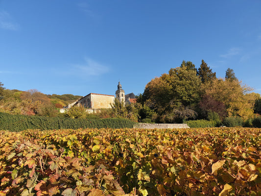 What does Grand Cru and Premier Cru mean in Champagne?