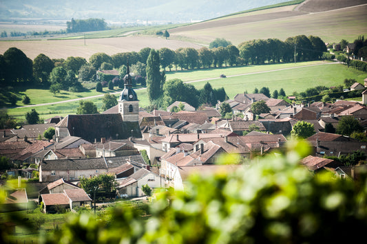 Where does Champagne come from?