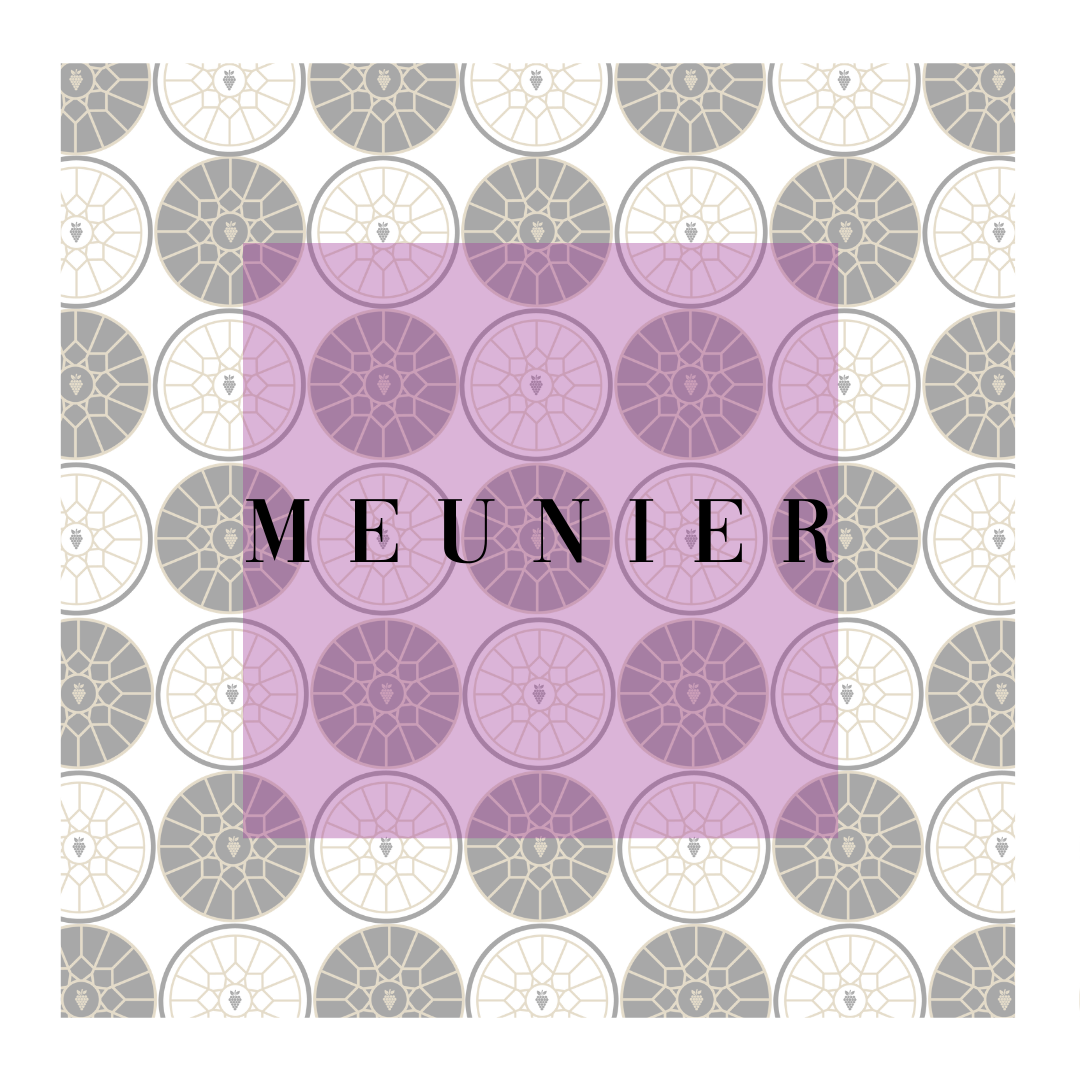 Pinot Meunier