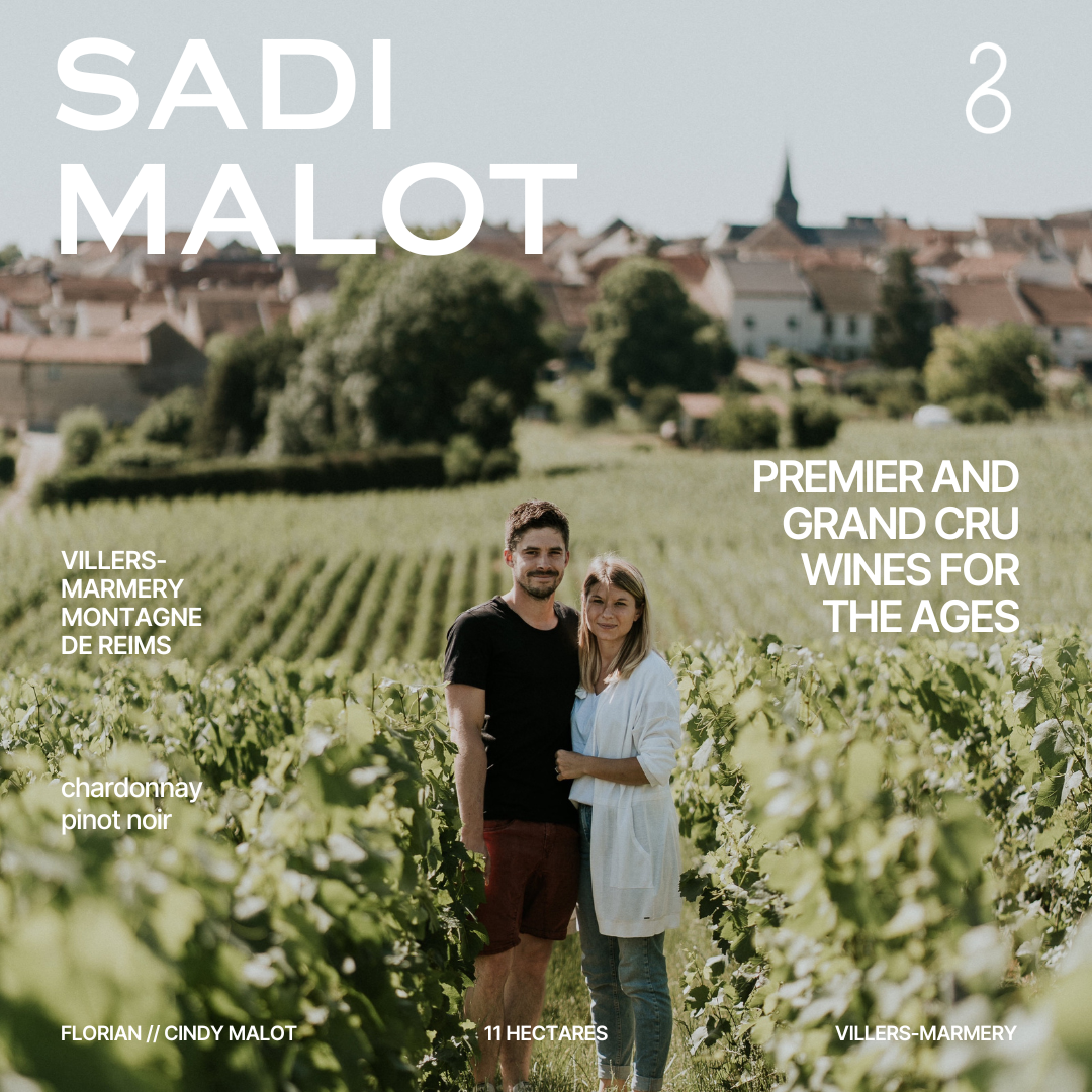 Sadi Malot