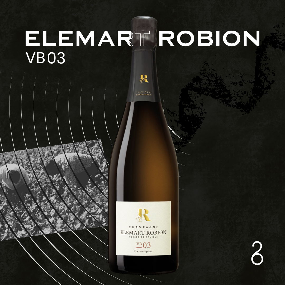 Elemart Robion // VB03