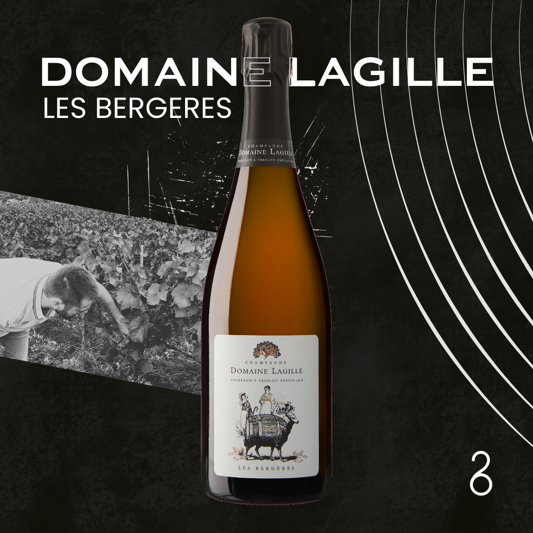 Domaine Lagille // Les Bergeres Pinot Noir 2020